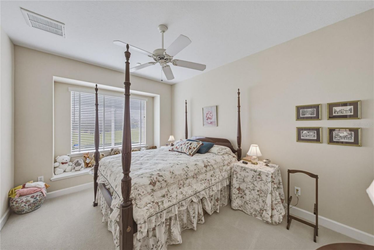 19616 Amazon Basin Bend, Lutz, FL 33559 Photo