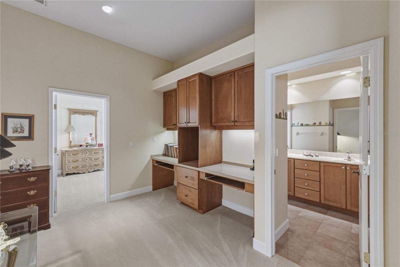 19616 Amazon Basin Bend, Lutz, FL 33559 Photo