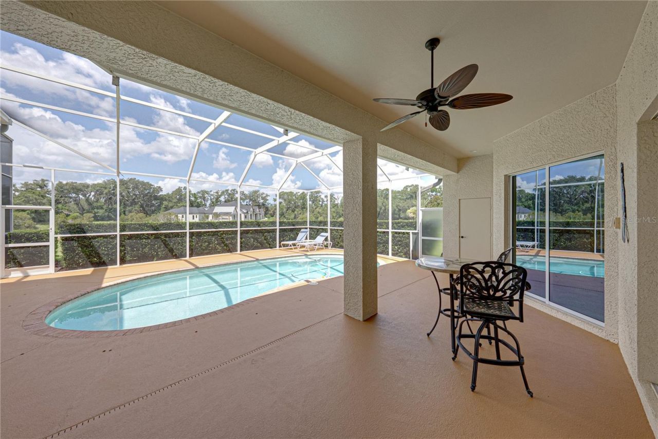 19616 Amazon Basin Bend, Lutz, FL 33559 Photo