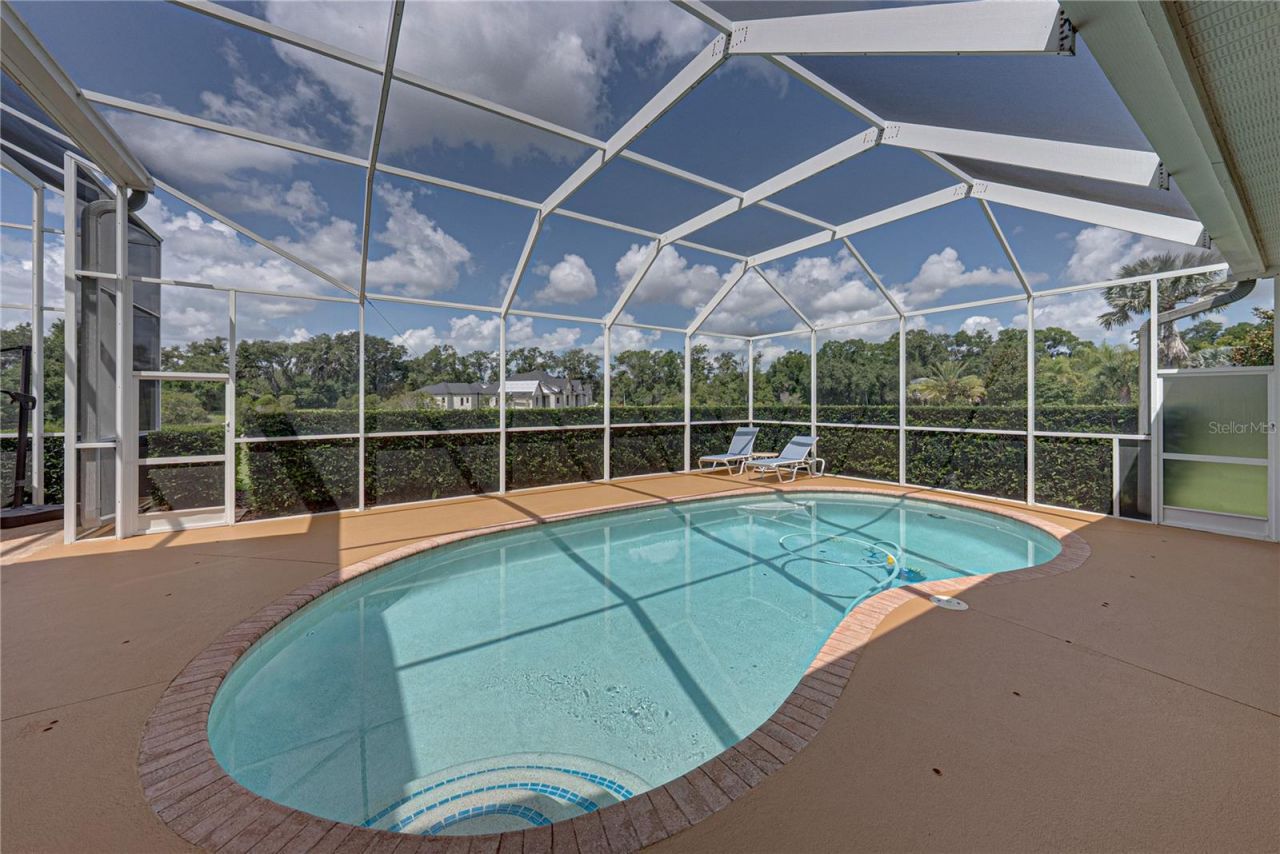 19616 Amazon Basin Bend, Lutz, FL 33559 Photo