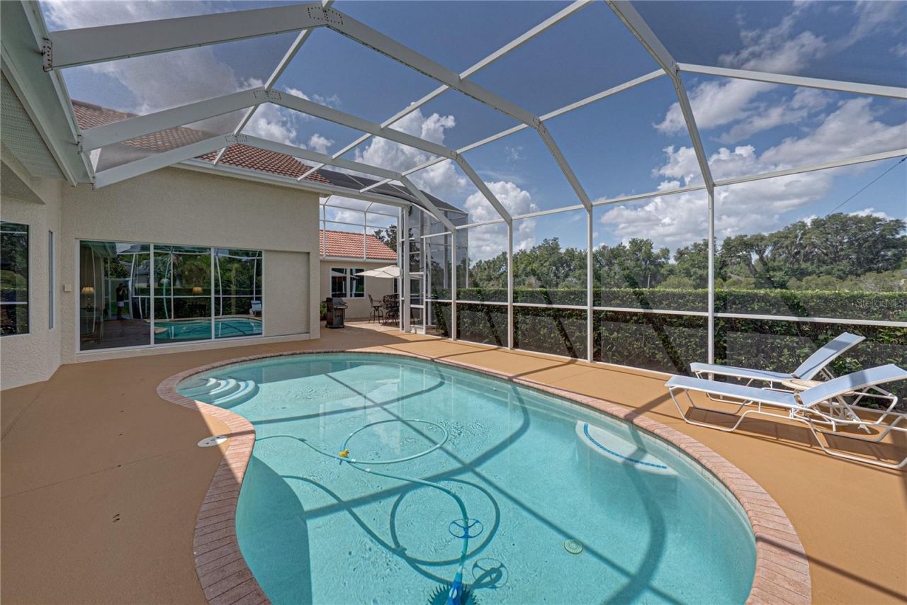 19616 Amazon Basin Bend, Lutz, FL 33559 Photo