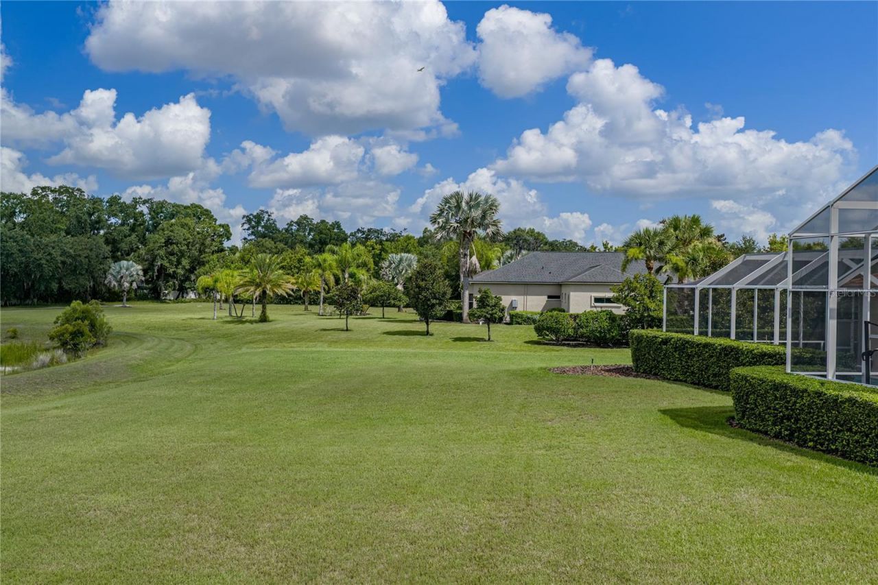19616 Amazon Basin Bend, Lutz, FL 33559 Photo
