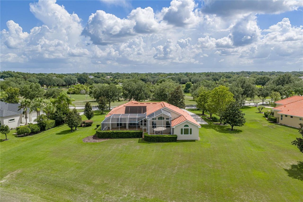 19616 Amazon Basin Bend, Lutz, FL 33559 Photo