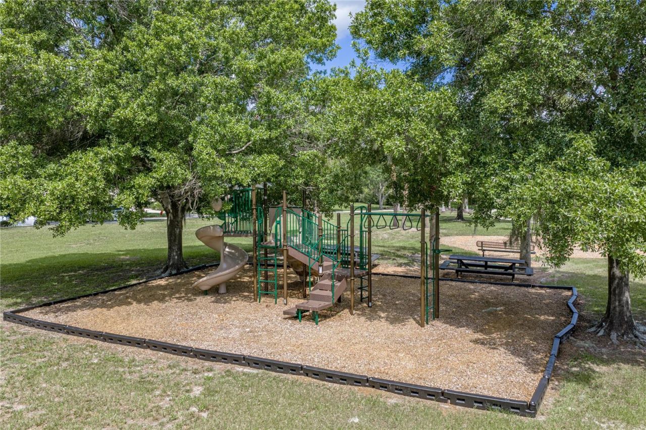 19616 Amazon Basin Bend, Lutz, FL 33559 Photo