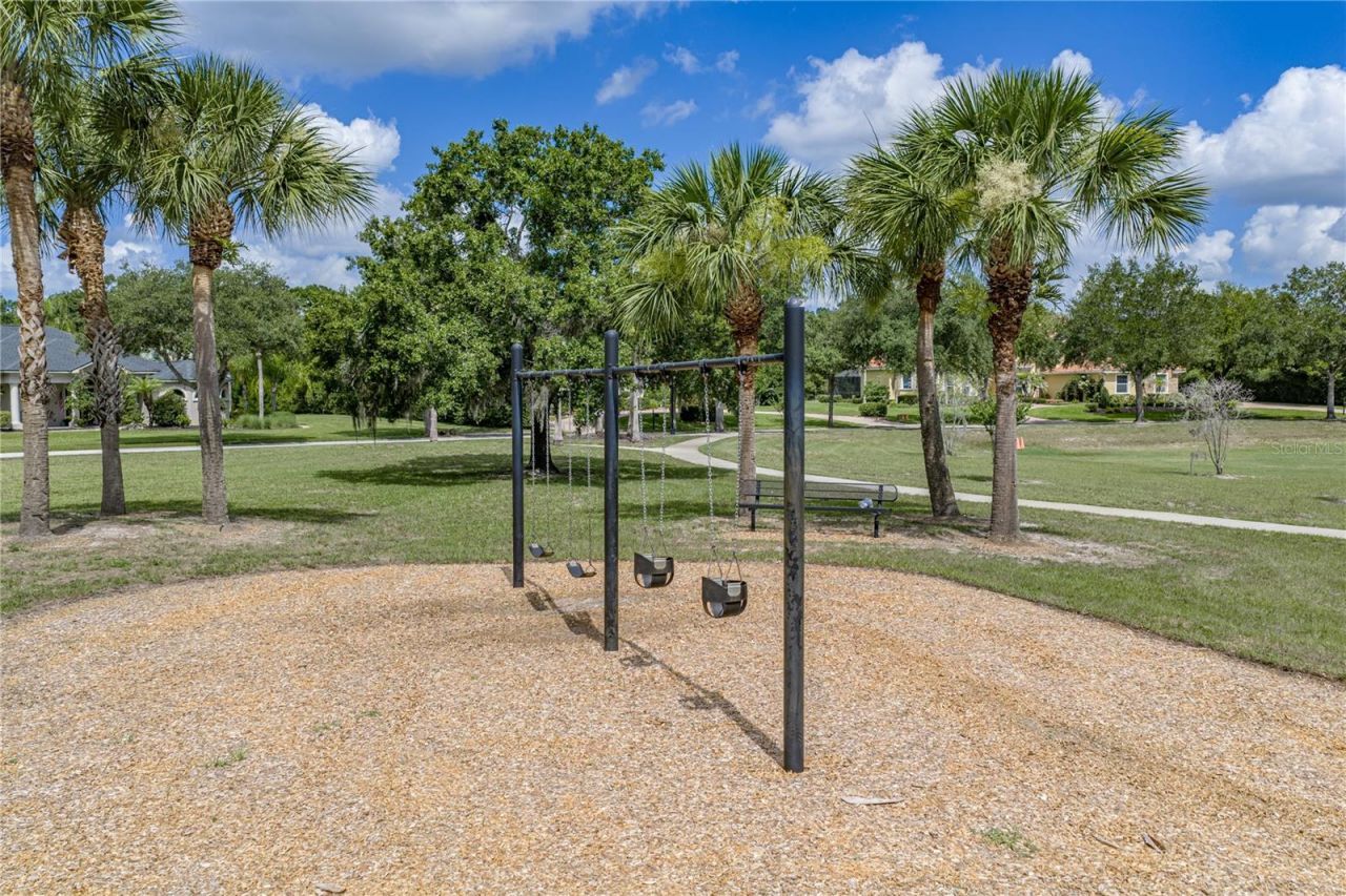 19616 Amazon Basin Bend, Lutz, FL 33559 Photo