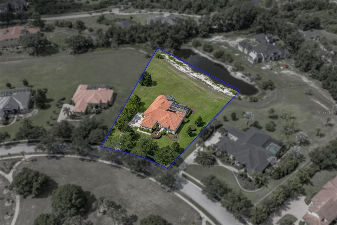 19616 Amazon Basin Bend, Lutz, FL 33559 Photo