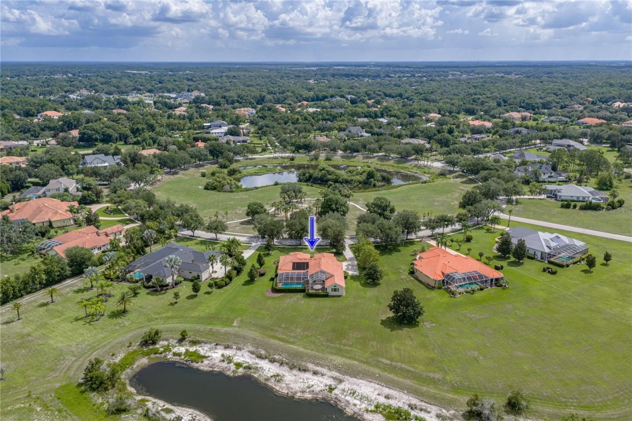 19616 Amazon Basin Bend, Lutz, FL 33559 Photo
