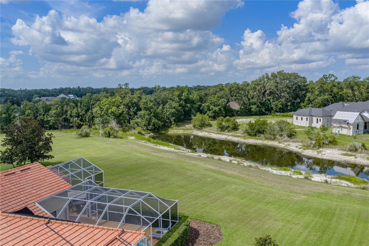 19616 Amazon Basin Bend, Lutz, FL 33559 Photo