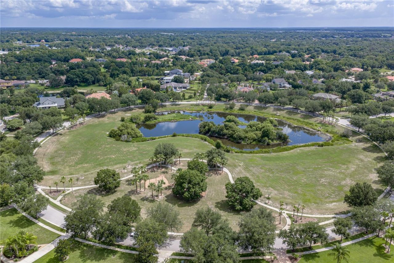 19616 Amazon Basin Bend, Lutz, FL 33559 Photo