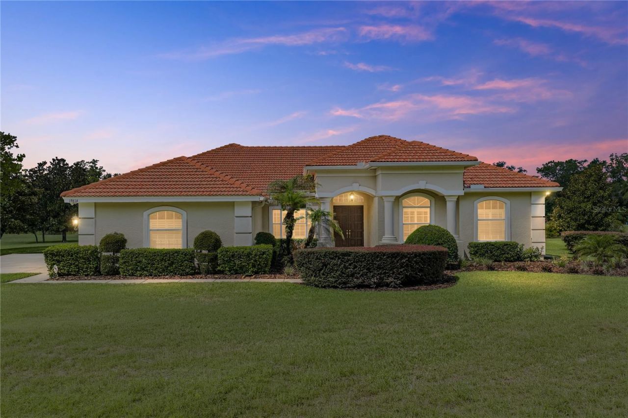 19616 Amazon Basin Bend, Lutz, FL 33559 Photo