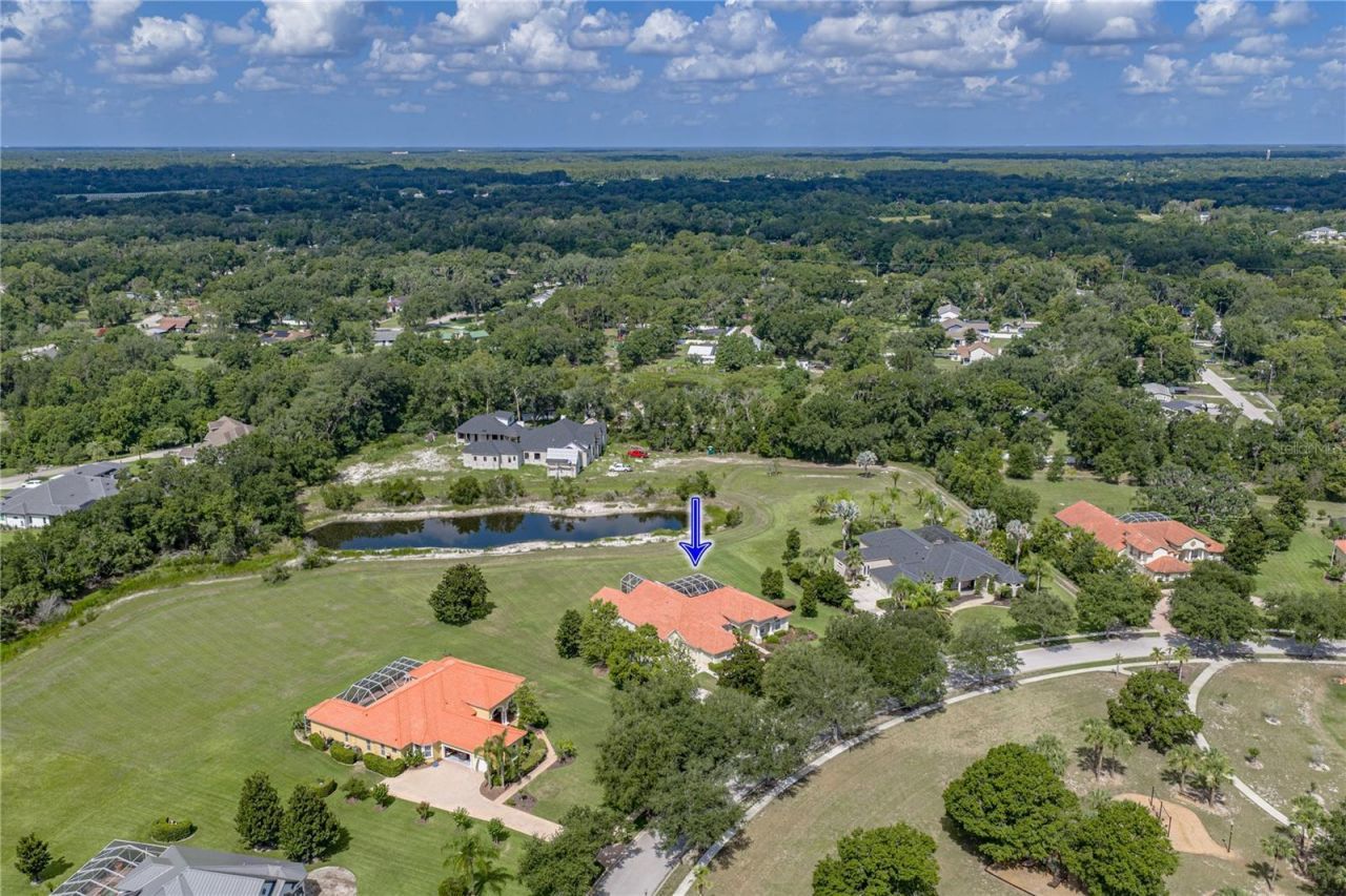 19616 Amazon Basin Bend, Lutz, FL 33559 Photo