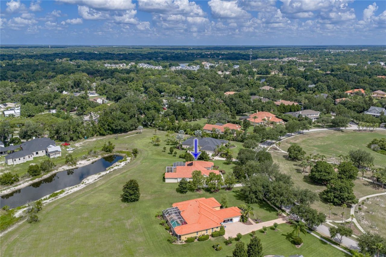 19616 Amazon Basin Bend, Lutz, FL 33559 Photo