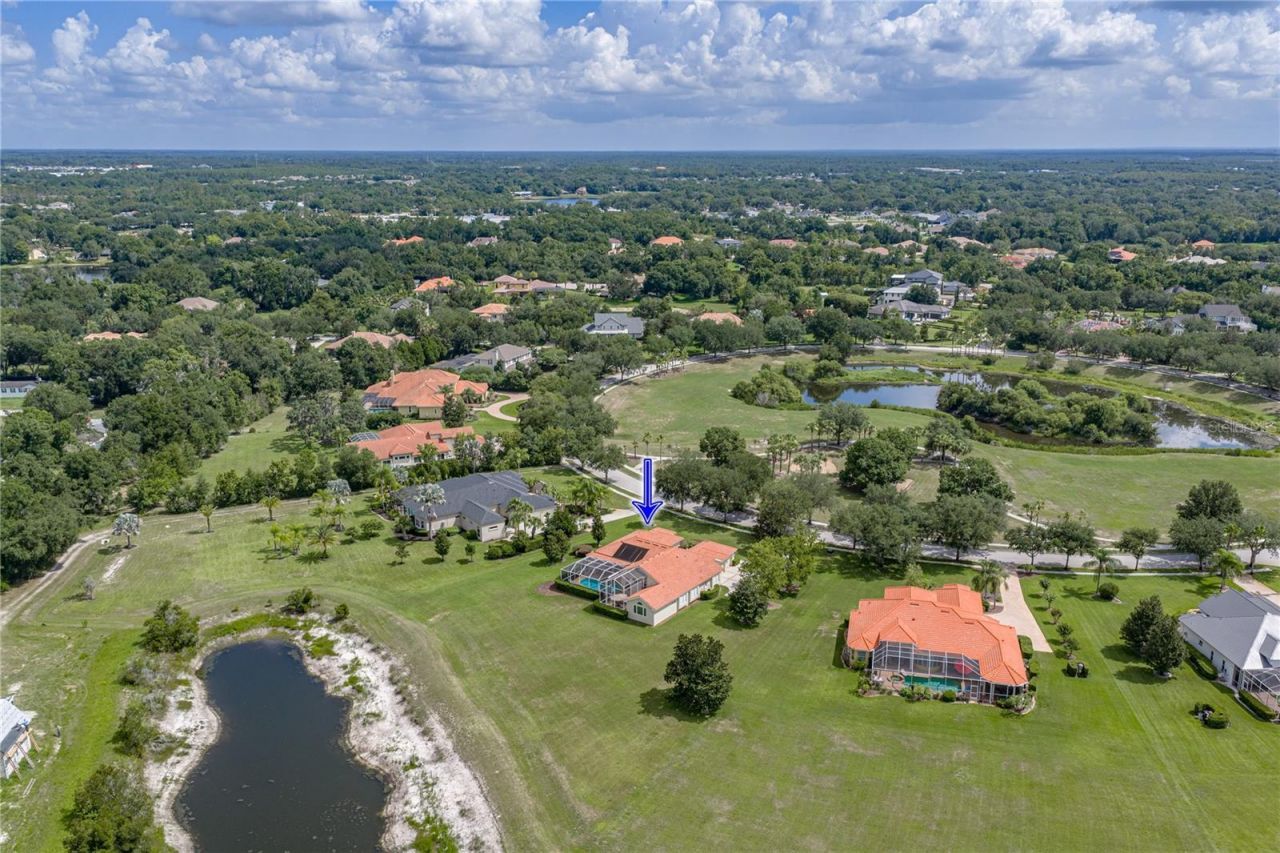 19616 Amazon Basin Bend, Lutz, FL 33559 Photo