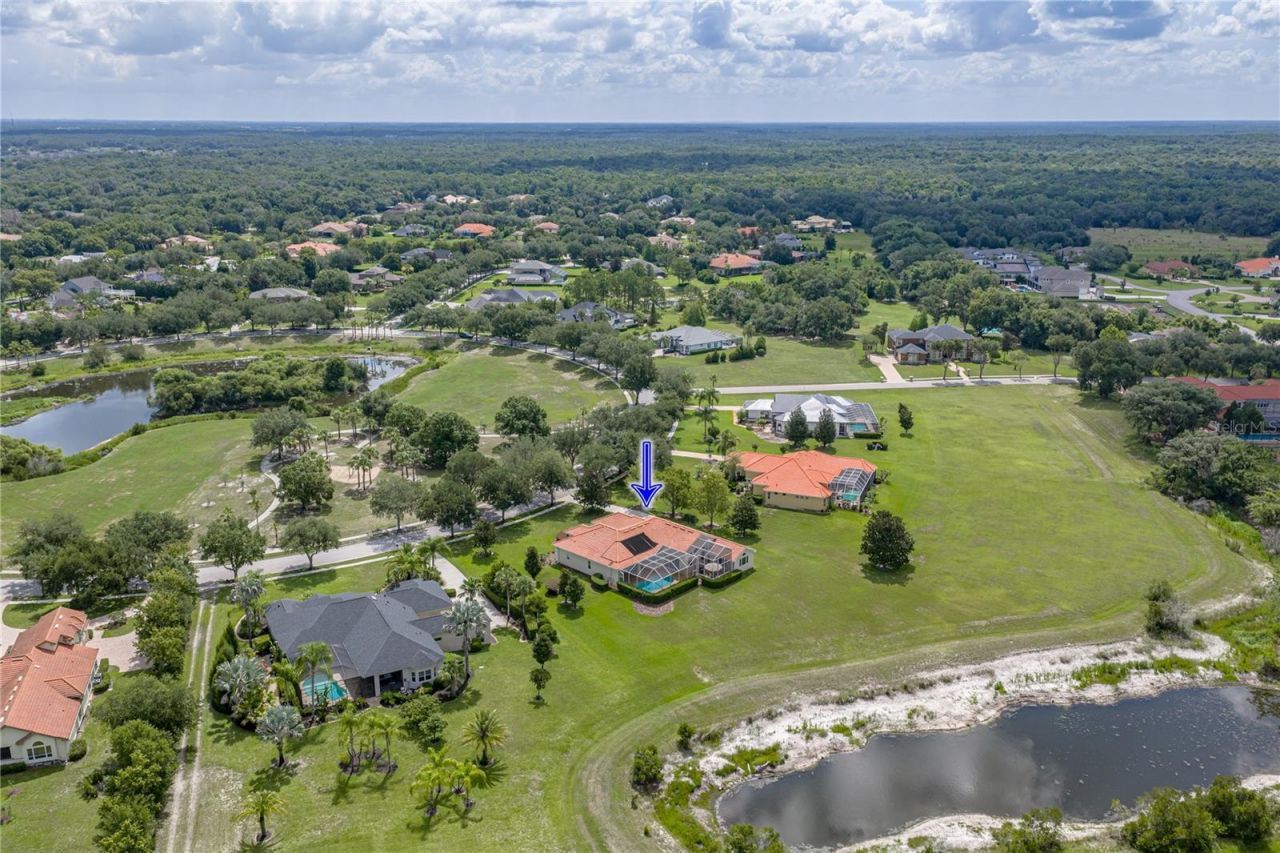 19616 Amazon Basin Bend, Lutz, FL 33559 Photo