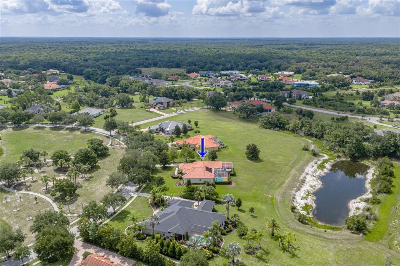 19616 Amazon Basin Bend, Lutz, FL 33559 Photo