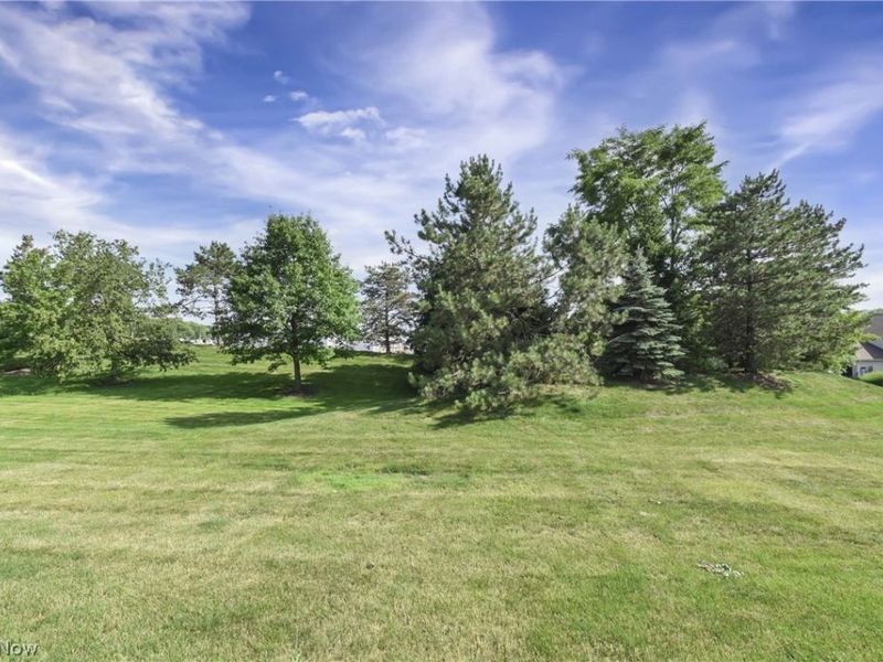 3222 Greentree Circle, Medina, OH 44256 Photo 4