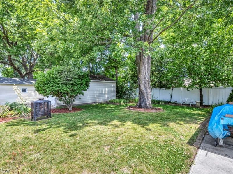 375 Olive Street, Elyria, OH 44035 Photo 9
