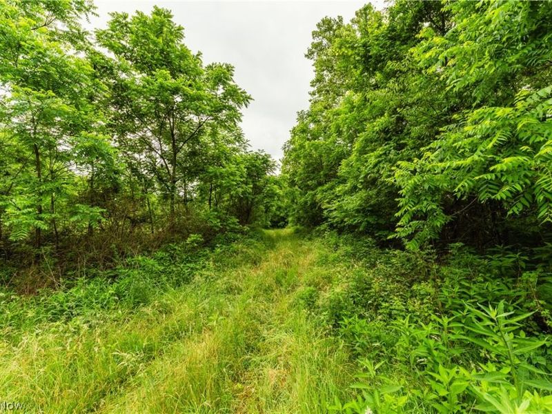 Long Road, Chandlersville, OH 43727 Photo 13