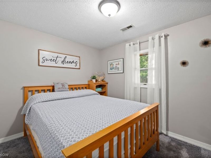 1135 Royal Drive, Amherst, OH 44001 Photo 19