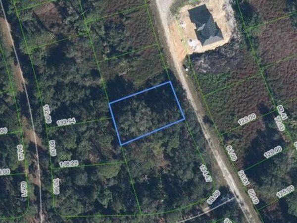 1030 REDBIRD STREET , LAKE PLACID, FL 33852