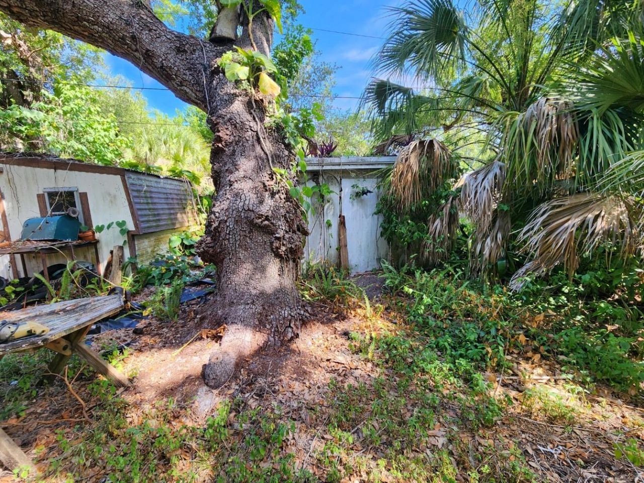 Shamrock Drive, Venice, FL 34293 Photo