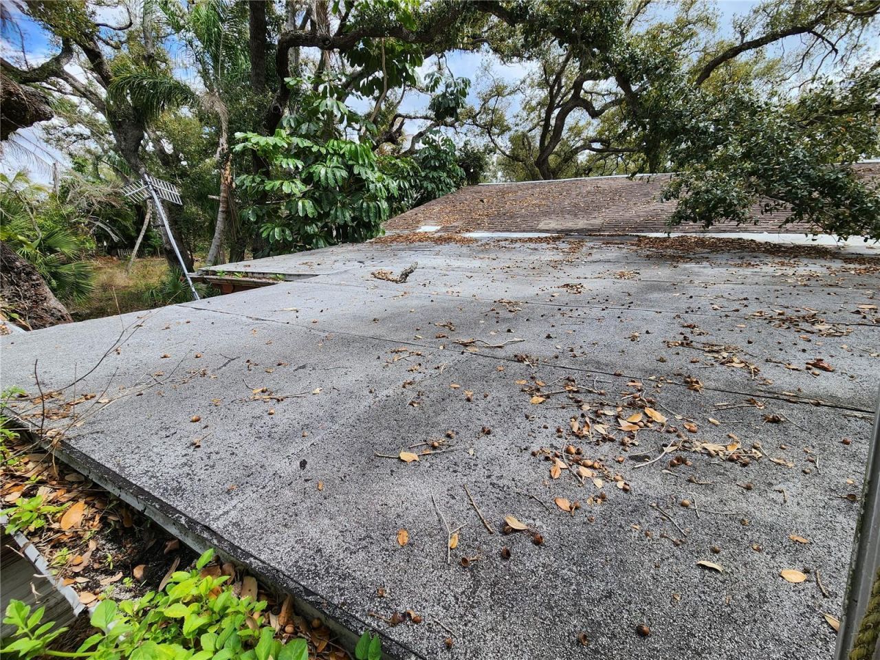 Shamrock Drive, Venice, FL 34293 Photo