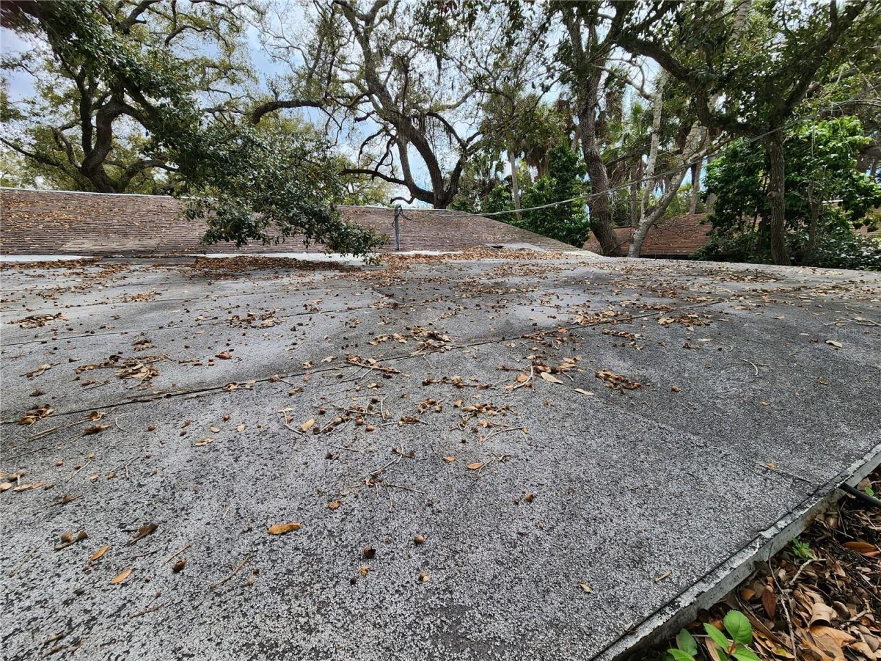 Shamrock Drive, Venice, FL 34293 Photo