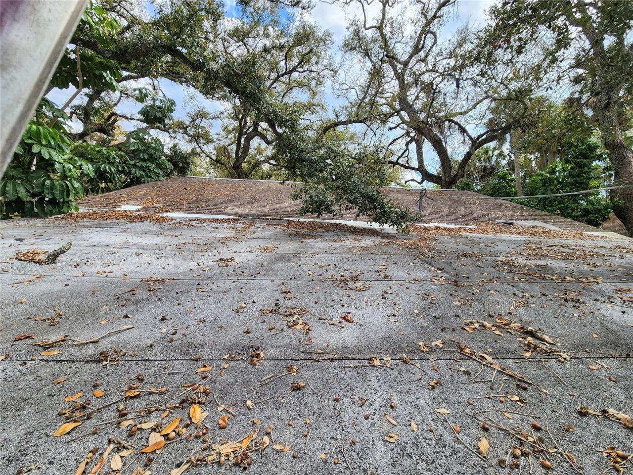 Shamrock Drive, Venice, FL 34293 Photo