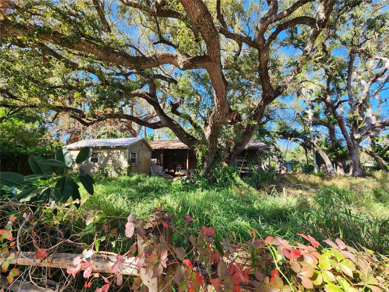 Shamrock Drive, Venice, FL 34293 Photo