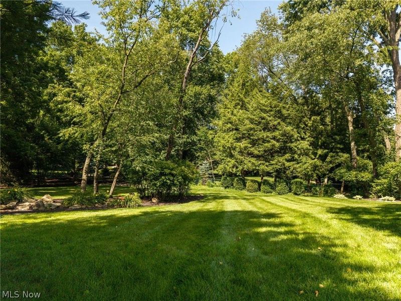 614 Red Rock Drive, Wadsworth, OH 44281 Photo 43