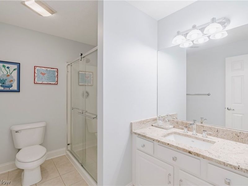 2816 Remington Point, Aurora, OH 44202 Photo 31
