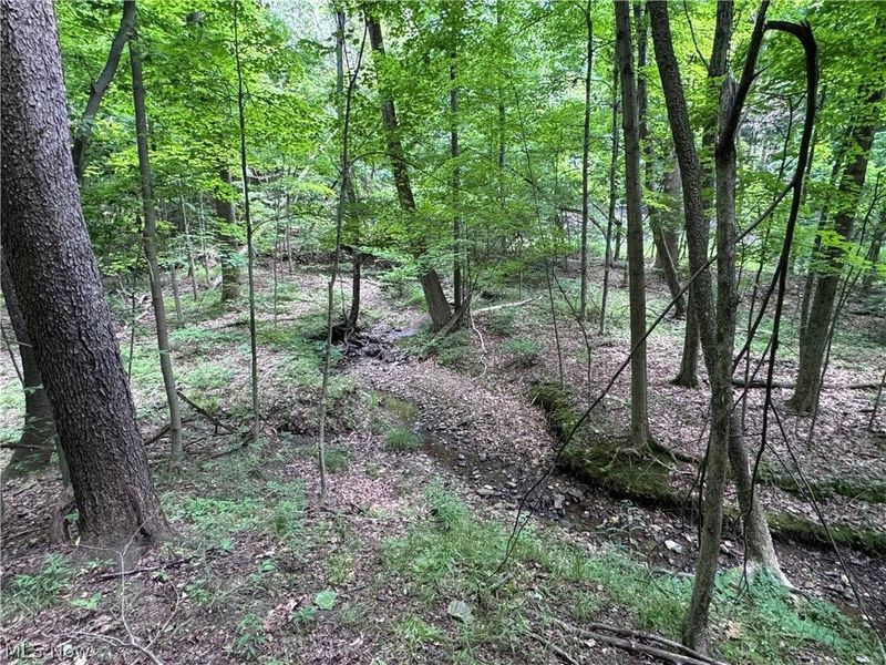 V/L 1 Chillicothe Road, Novelty, OH 44072 Photo 10