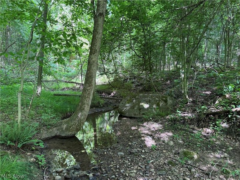 V/L 1 Chillicothe Road, Novelty, OH 44072 Photo 11