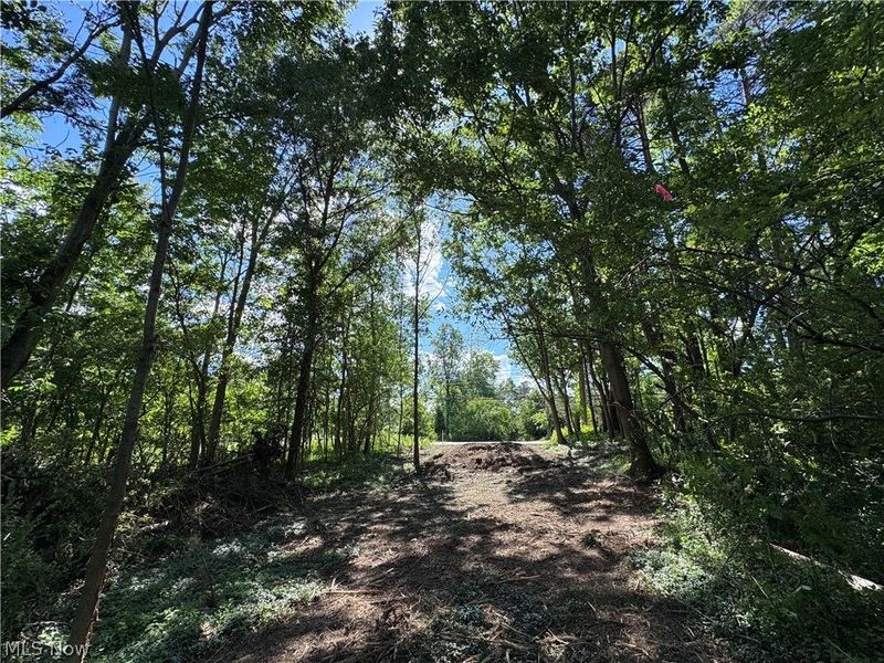V/L 1 Chillicothe Road, Novelty, OH 44072 Photo 19
