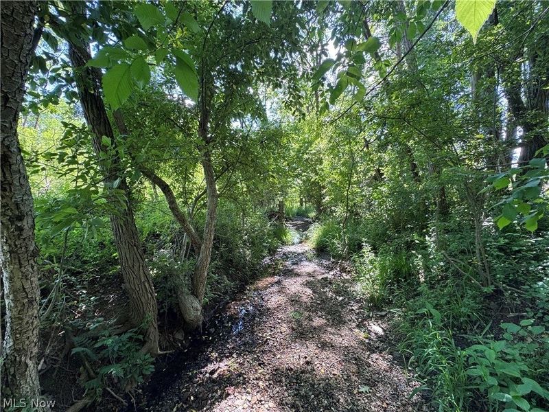 V/L 1 Chillicothe Road, Novelty, OH 44072 Photo 20