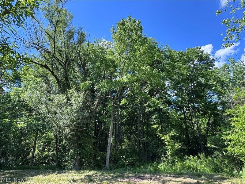 V/L 1 Chillicothe Road, Novelty, OH 44072 Photo 21