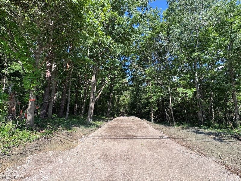 V/L 1 Chillicothe Road, Novelty, OH 44072 Photo 27