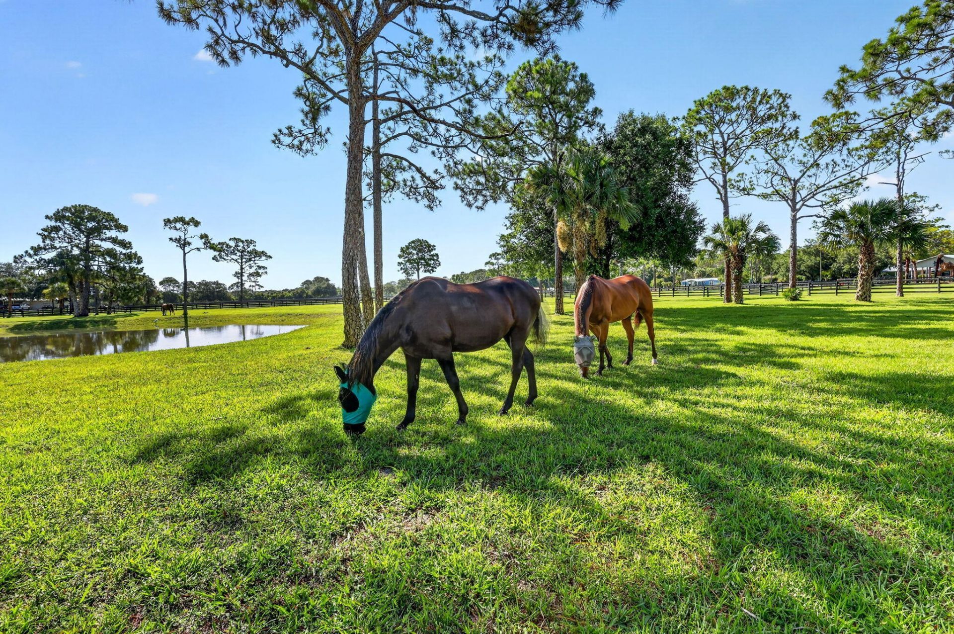 2602 SW 64th Court, Palm City, FL 34990 Photo