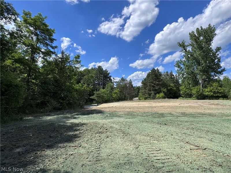 V/L 2 Chillicothe Road, Novelty, OH 44072 Photo 12