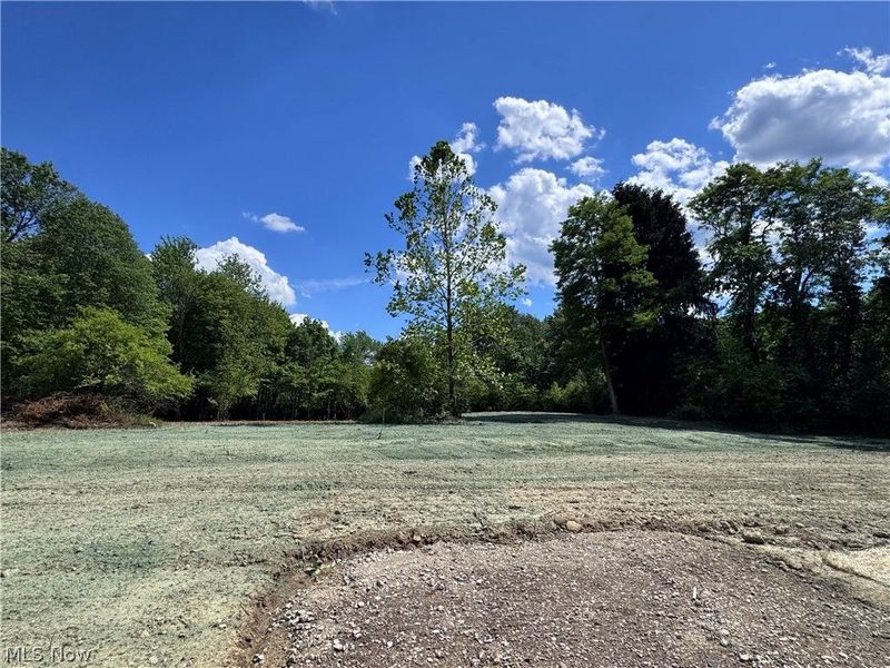 V/L 2 Chillicothe Road, Novelty, OH 44072 Photo 16