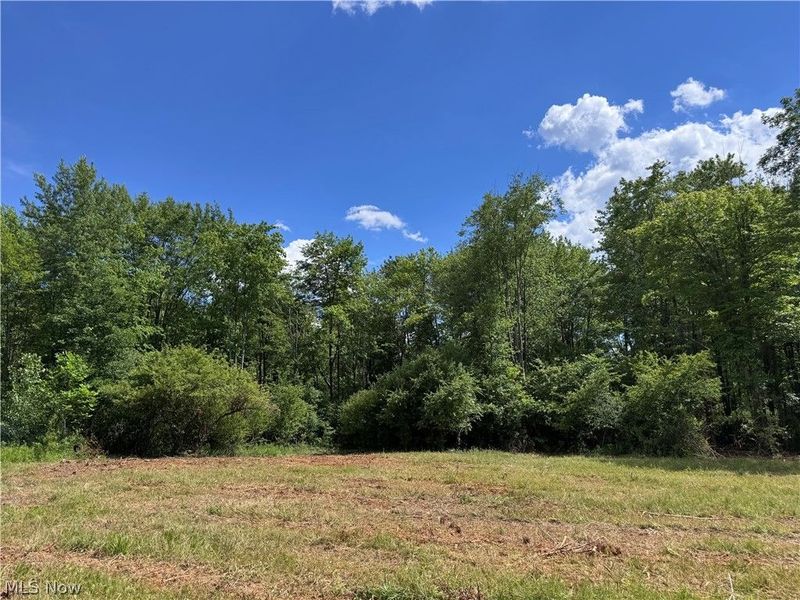 V/L 2 Chillicothe Road, Novelty, OH 44072 Photo 18