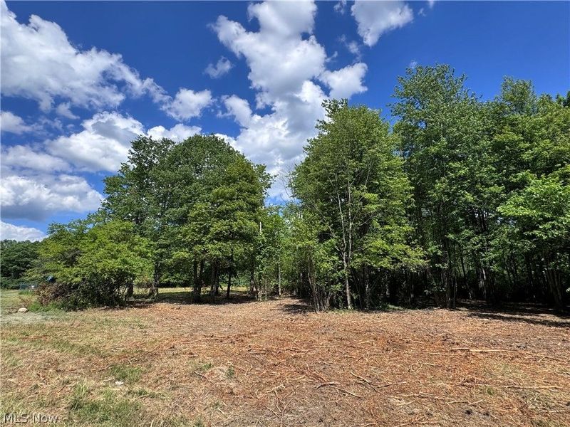 V/L 4 Chillicothe Road, Novelty, OH 44072 Photo 10