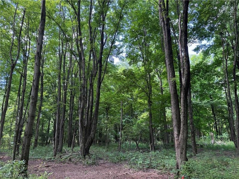V/L 4 Chillicothe Road, Novelty, OH 44072 Photo 17
