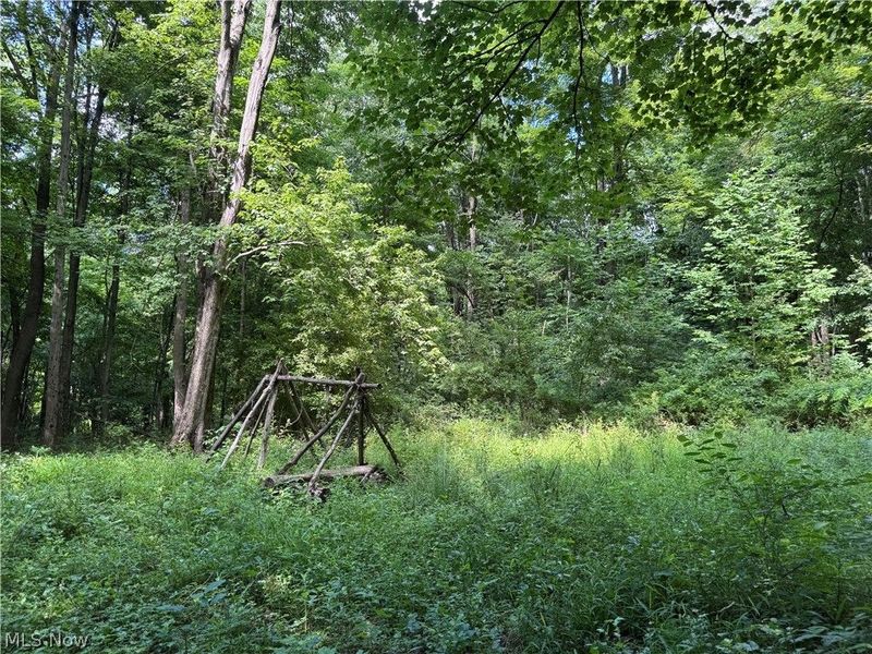 V/L 4 Chillicothe Road, Novelty, OH 44072 Photo 18