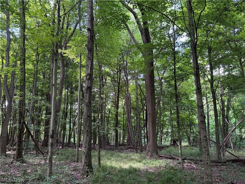 V/L 4 Chillicothe Road, Novelty, OH 44072 Photo 19