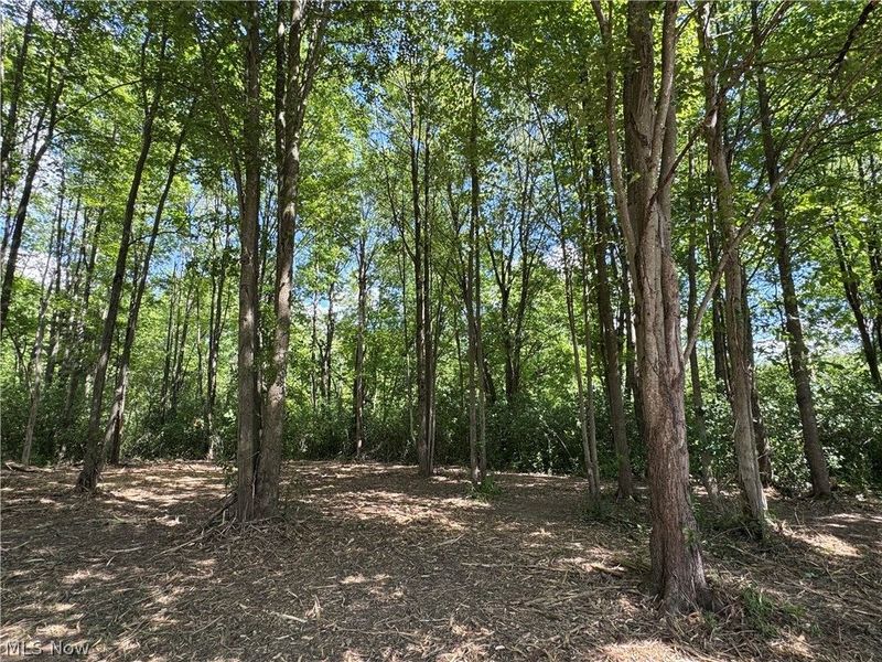 V/L 4 Chillicothe Road, Novelty, OH 44072 Photo 5