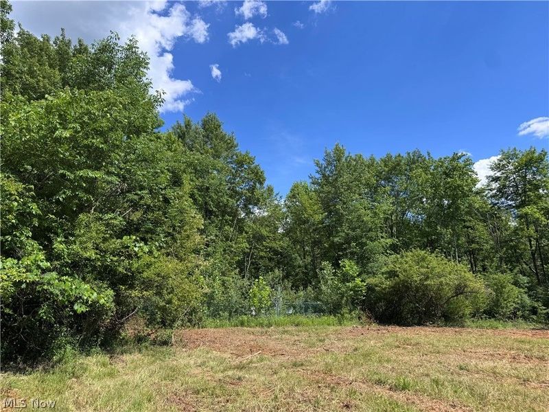 V/L 4 Chillicothe Road, Novelty, OH 44072 Photo 8