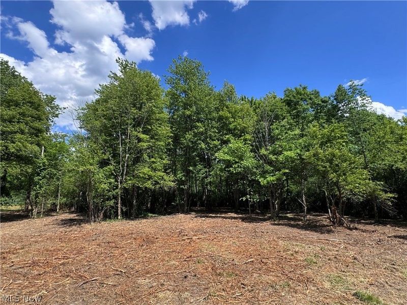 V/L 4 Chillicothe Road, Novelty, OH 44072 Photo 9
