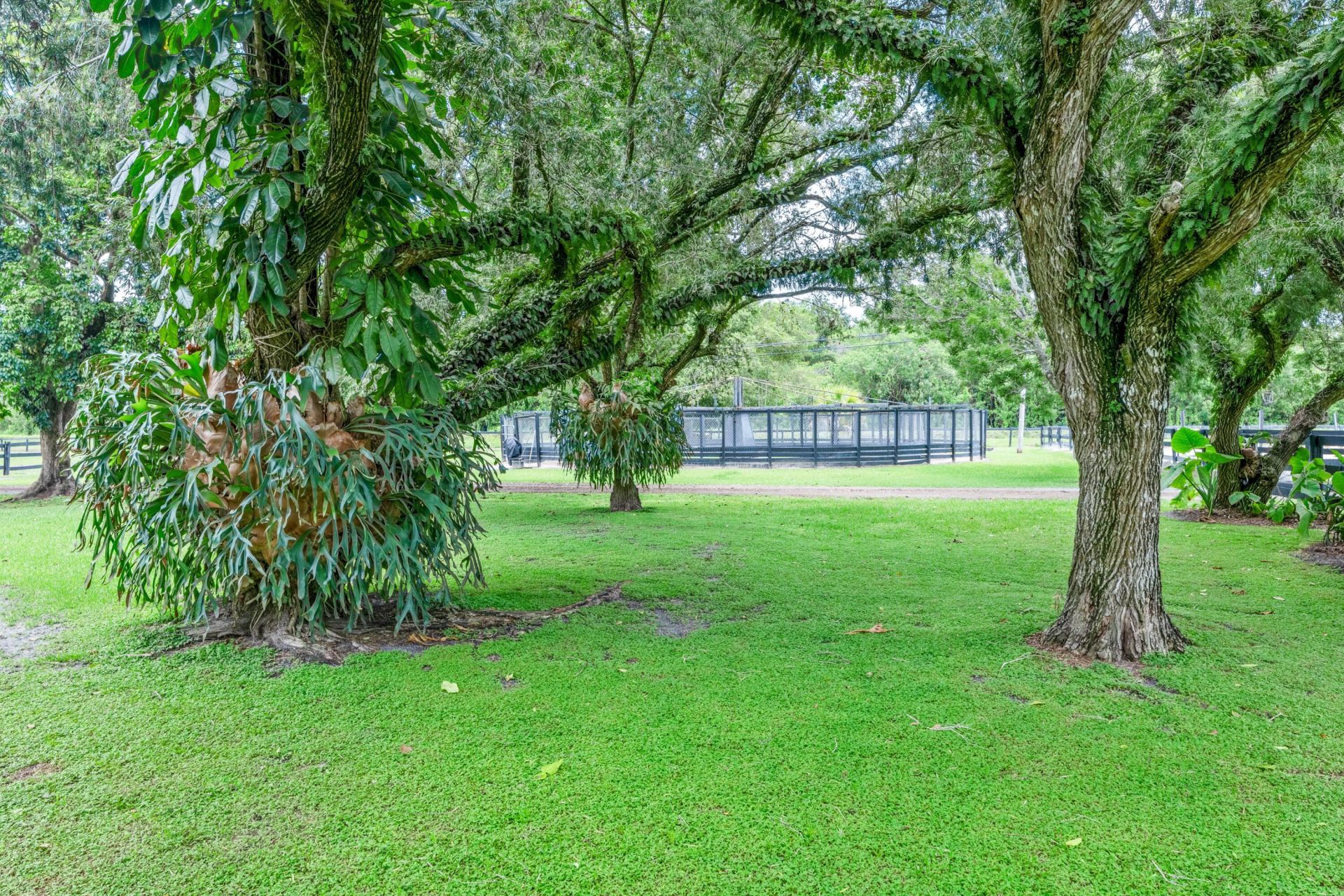 14536 North Road, Loxahatchee Groves, FL 33470 Photo