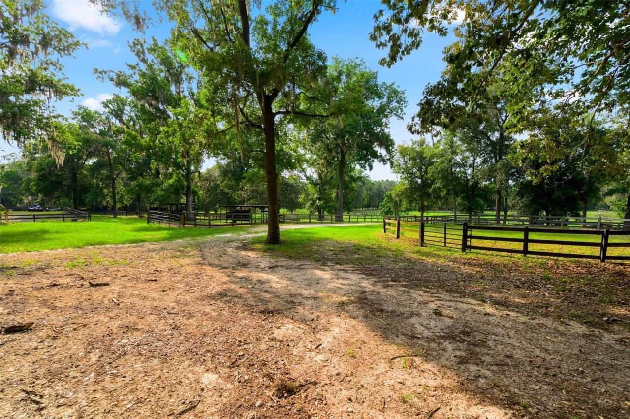 9809 NW 59th Terrace, Gainesville, FL 32653 Photo